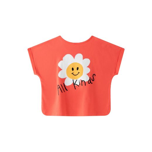 Picture of Camiseta