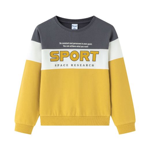 Picture of Sudadera 