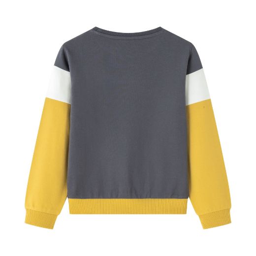 Picture of Sudadera 