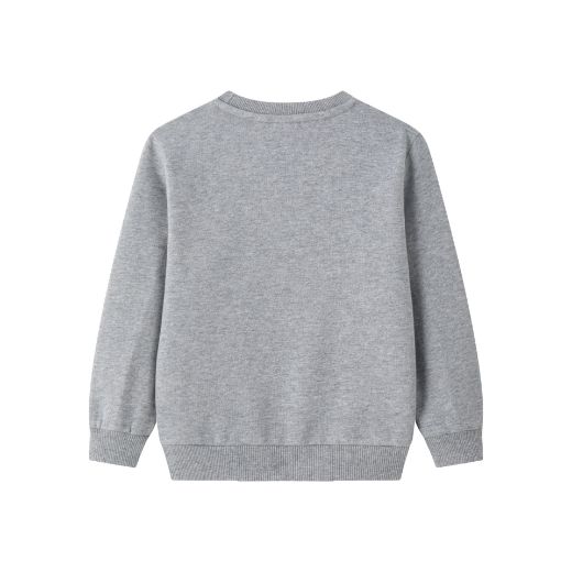 Picture of Sudadera 