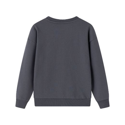 Picture of Sudadera 