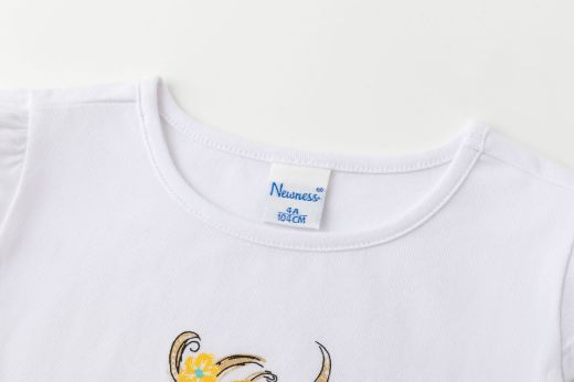Picture of T-shirt