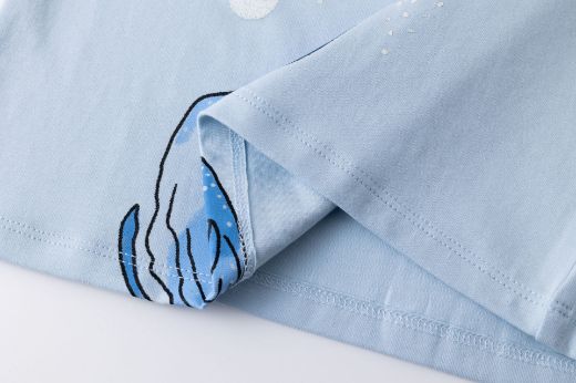 Picture of T-shirt