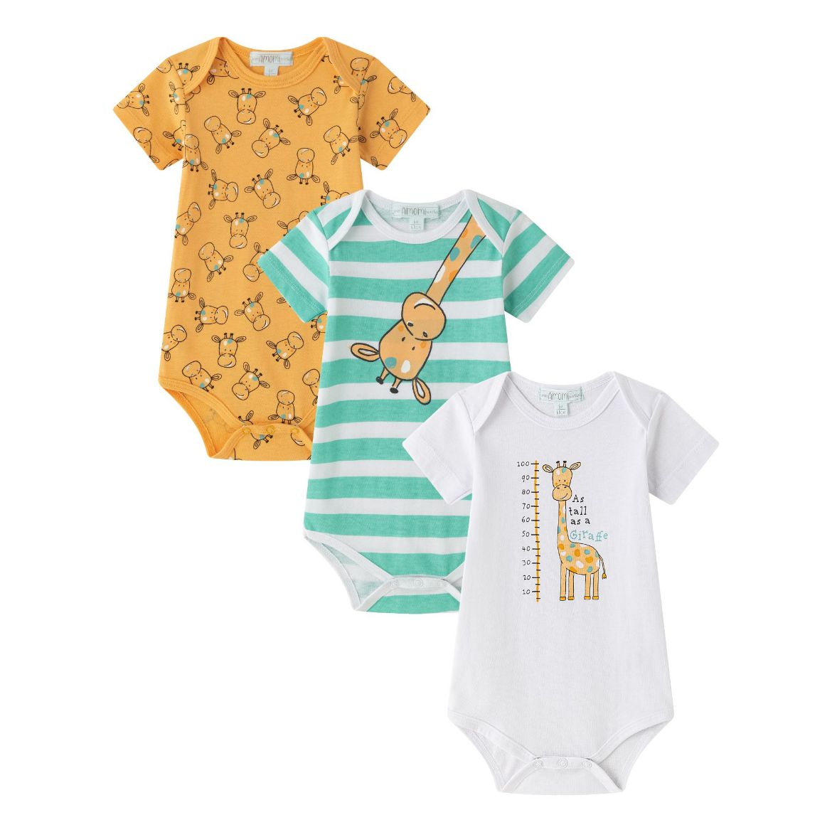 Picture of Bodies (1 a 24 Meses)