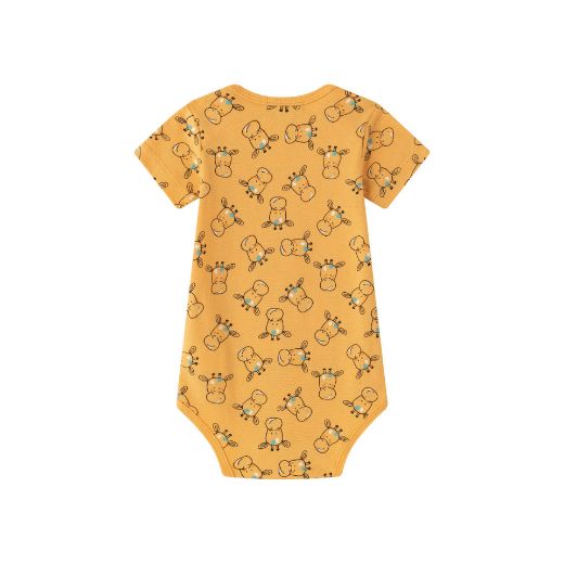 Picture of Bodies (1 a 24 Meses)