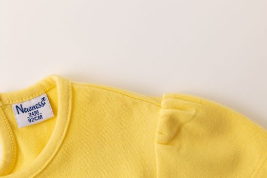 Picture of T-shirt