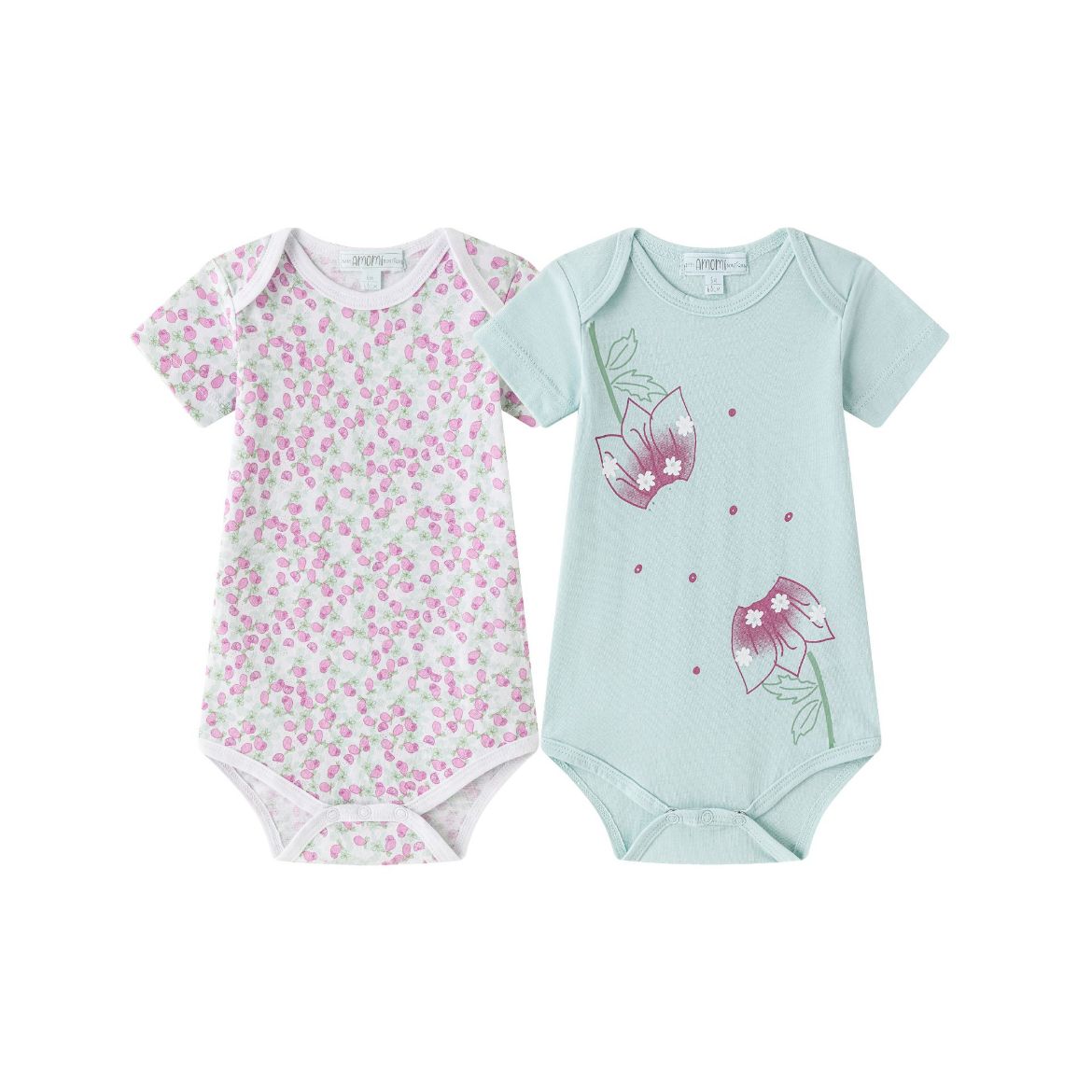 Picture of Bodies (1 a 24 meses)