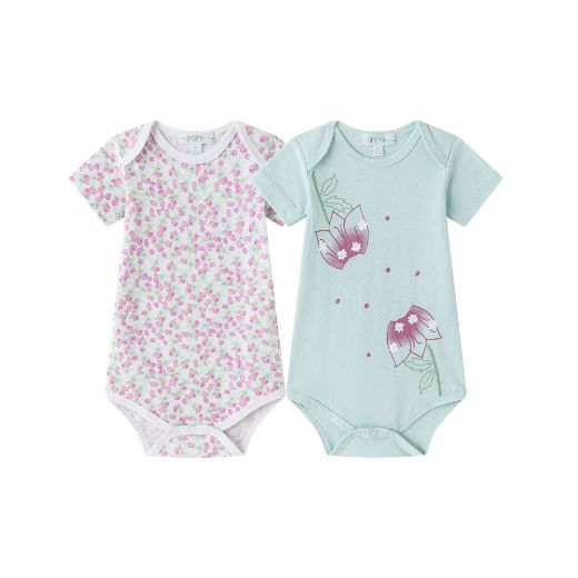 Picture of Bodies (1 a 24 meses)