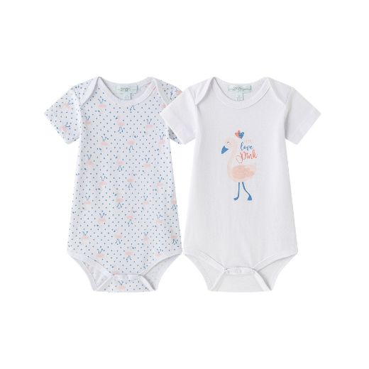 Picture of Bodies (1 a 24 meses)