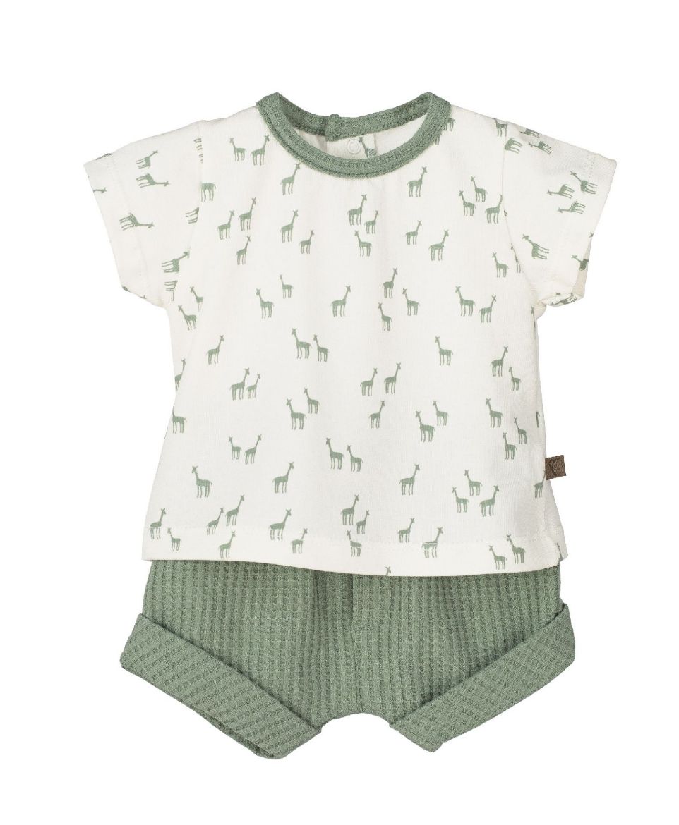 Picture of Conjunto Pololo