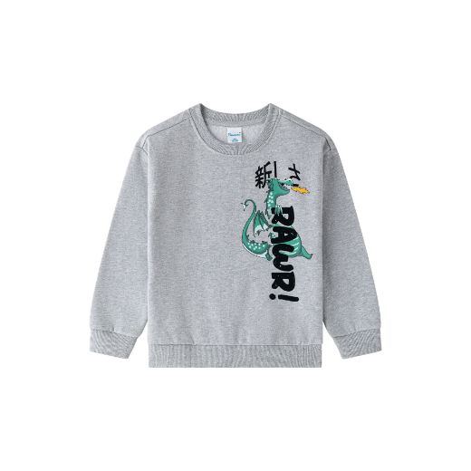 Picture of Sudadera