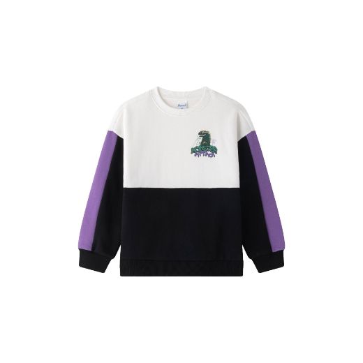 Picture of Sudadera