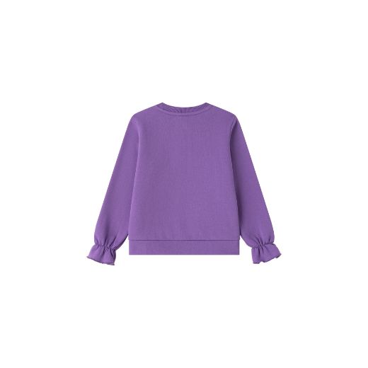 Picture of Sudadera afelpada