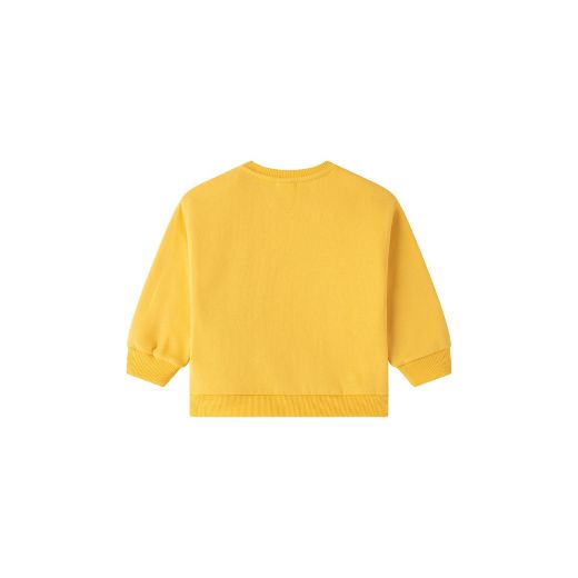 Picture of Sudadera