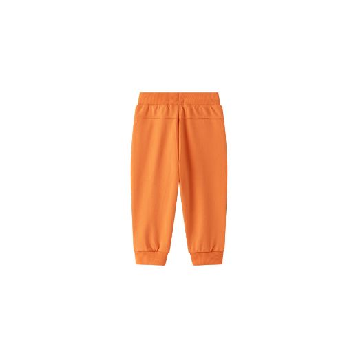 Picture of Pantalon rizo