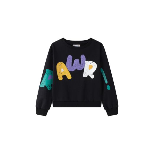 Picture of Sudadera