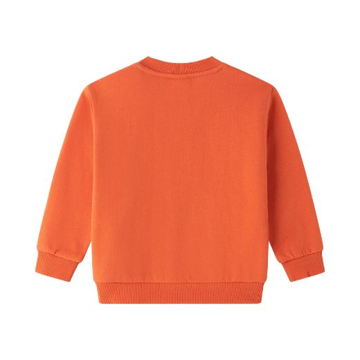 Picture of Sudadera