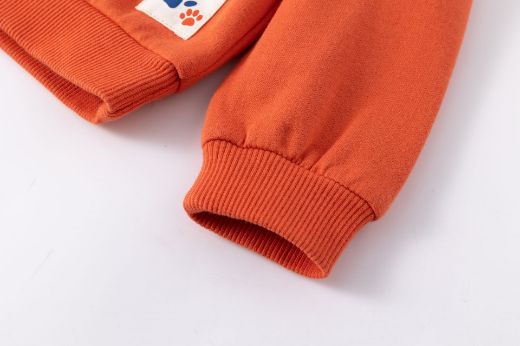 Picture of Sudadera