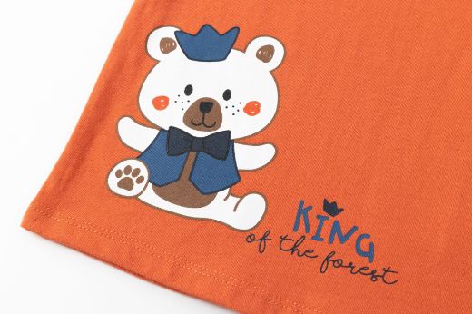 Picture of Camiseta