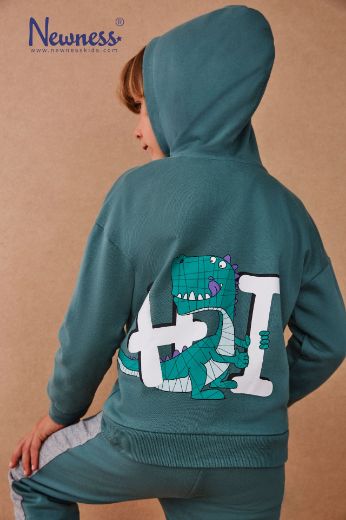 Picture of Sudadera