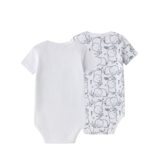 Picture of Bodies (1 a 24 Meses)
