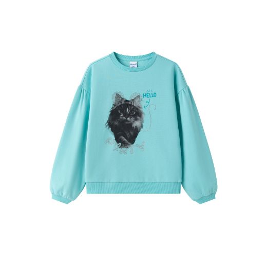 Picture of Sudadera afelpada (Elige talla)
