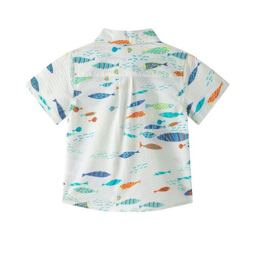 Picture of BABY BOY'S SHIRT