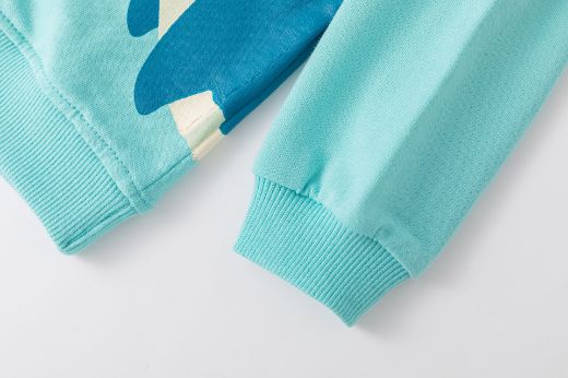 Picture of BABY BOY'S SWEATSHIRT