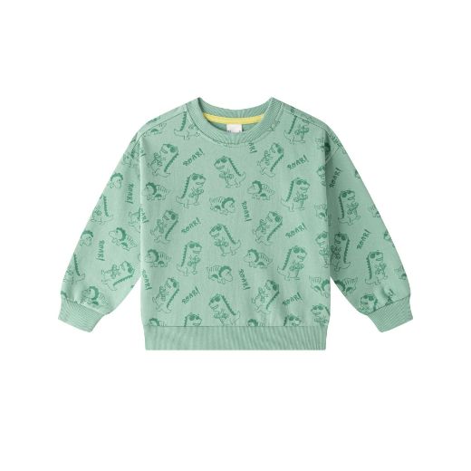 Picture of Boy's Sweatshirt