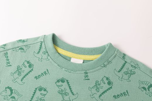 Picture of Boy's Sweatshirt