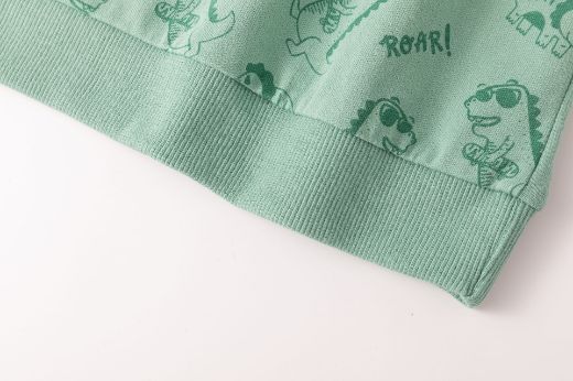 Picture of Boy's Sweatshirt