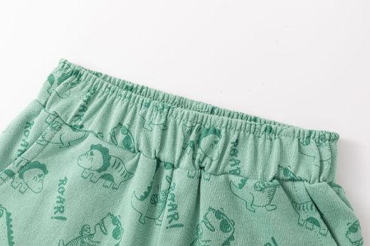 Picture of Boy's Shorts