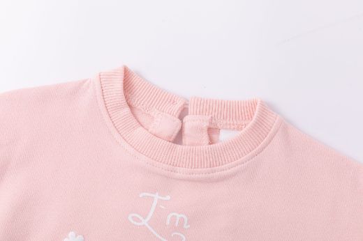 Picture of Hoodie