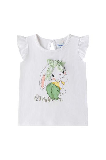 Picture of T-shirt