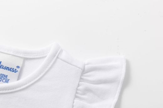 Picture of T-shirt