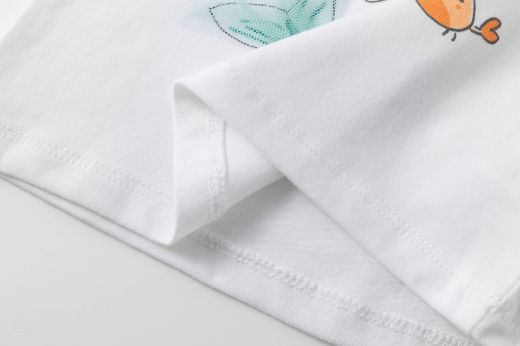 Picture of T-shirt