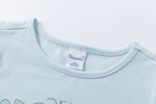 Picture of T-shirt