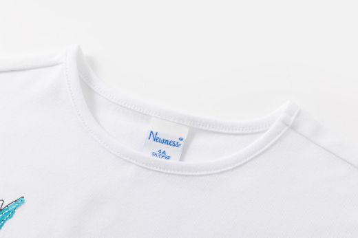 Picture of T-shirt