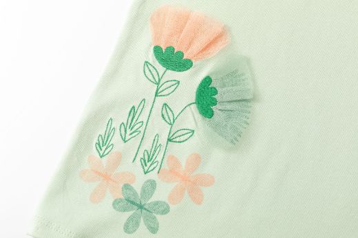 Picture of T-shirt