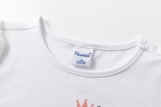 Picture of T-shirt