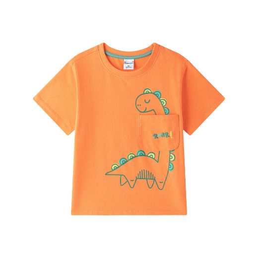 Picture of Boy's T-shirt
