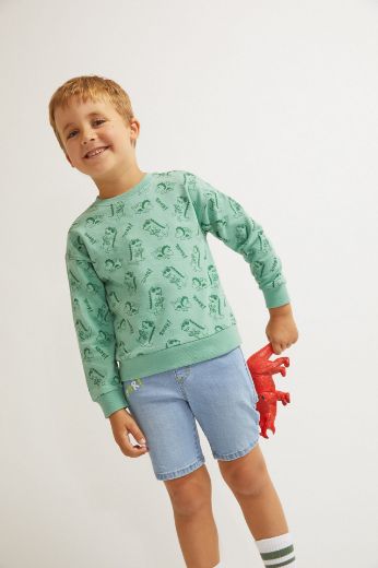 Picture of Boy's Sweatshirt