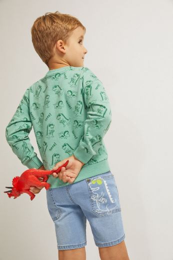 Picture of Boy's Sweatshirt
