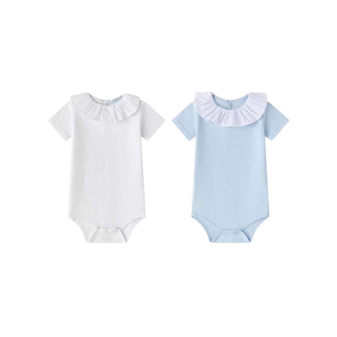 Picture of Bodies (1 a 24 Meses)