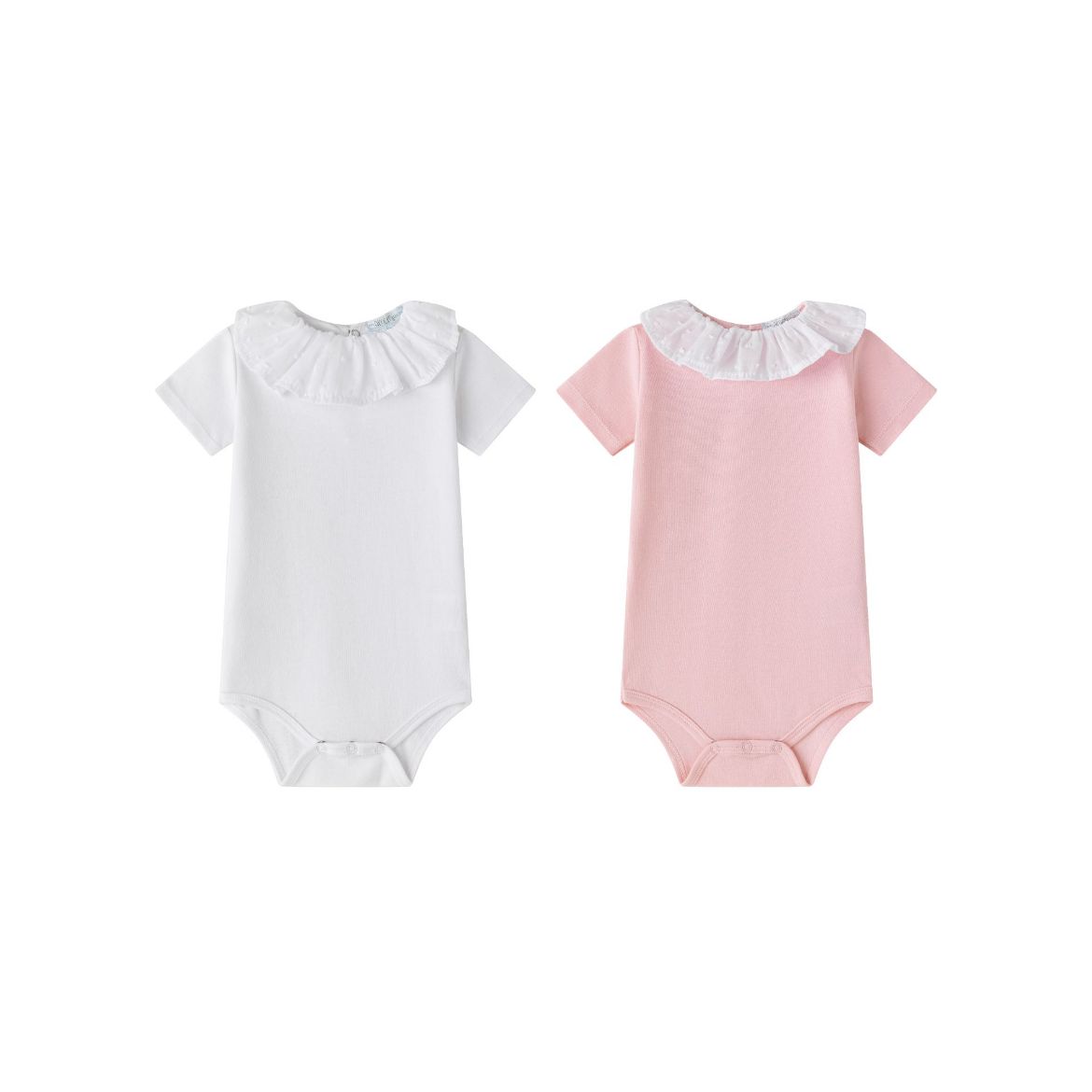 Picture of Bodies (1 a 24 Meses)