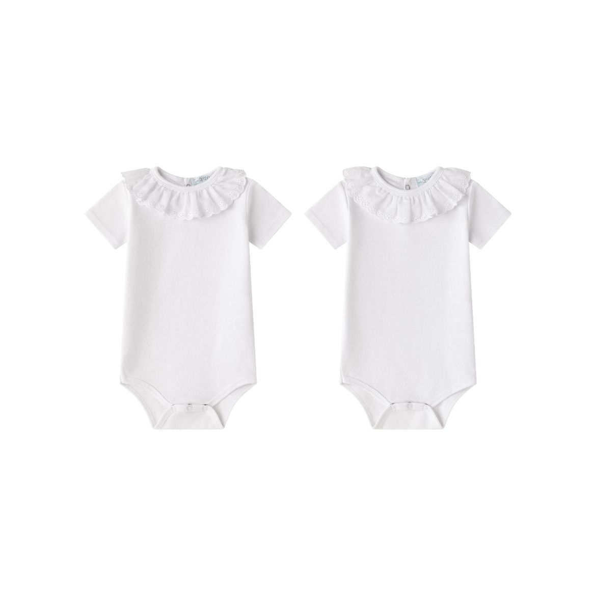 Picture of Bodies (1 a 12 Meses)