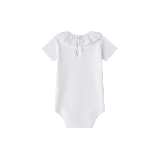 Picture of Bodies (1 a 12 Meses)