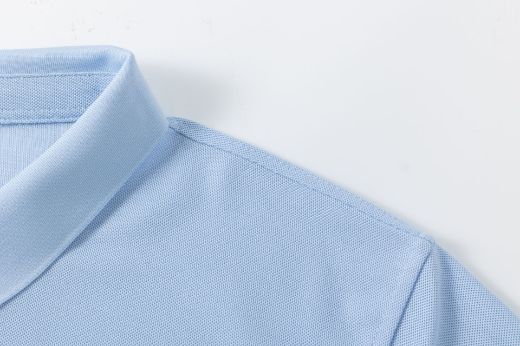 Picture of Polo
