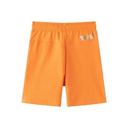 Picture of Boy's Shorts