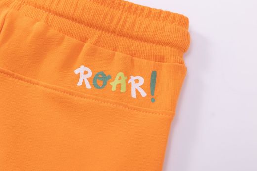 Picture of Boy's Shorts